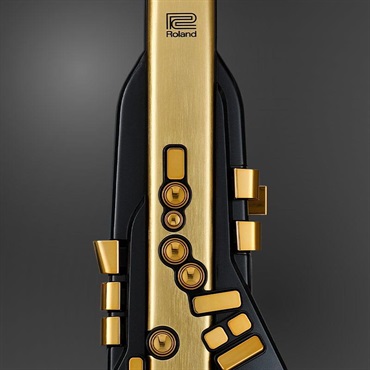 Roland Aerophone Pro Gold Limited Edition [AE-30A] ローランド エアロフォン特別限定仕様モデル【10月29日発売・予約受付中】 画像4