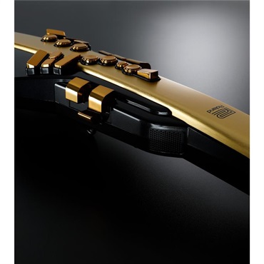 Roland Aerophone Pro Gold Limited Edition [AE-30A] ローランド エアロフォン特別限定仕様モデル【10月29日発売・予約受付中】 画像5