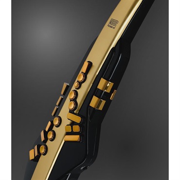 Roland Aerophone Pro Gold Limited Edition [AE-30A] ローランド エアロフォン特別限定仕様モデル【10月29日発売・予約受付中】 画像6