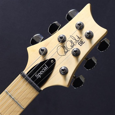 P.R.S. USED 中古 SE Swamp Ash Special (Iri Blue) #CTI G085951 画像4