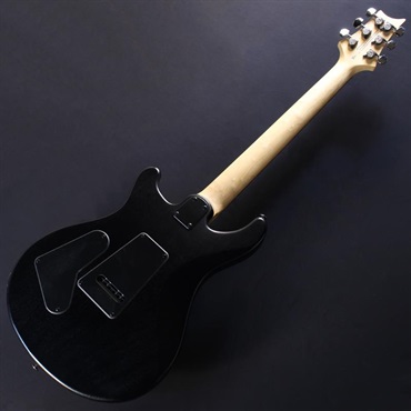 P.R.S. USED 中古 SE Swamp Ash CE 24 Sandblasted Limited Edition (Sandblasted White) #CTI G034222 画像5