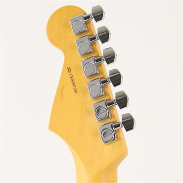 Fender USA American Professional Stratocaster (Natural/Maple) 画像8