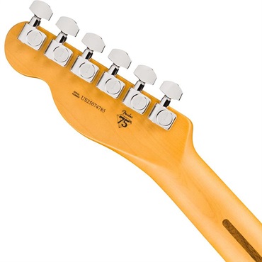 Fender USA 【2026年12月中旬以降入荷予定】 American Professional Hot Shot Telecaster (Butterscotch Blonde/Maple) 画像4
