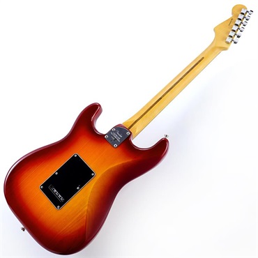 Fender USA American Professional Stratocaster HSS (Aged Cherry Burst/Rosewood) 画像2