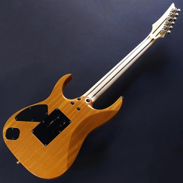 Ibanez j.custom RG8570EM-NT (Natural) [Limited Model] #F2507422 画像5