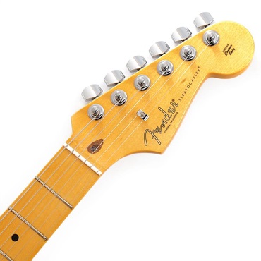 Fender USA American Professional Stratocaster (Dark Night／Maple) 画像6