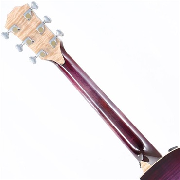 TAYLOR USED 中古 Custom-GA C14ce [NAMM2024 Model] テイラー 画像5