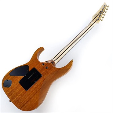 Ibanez j.custom RG8570EM-NT (Natural) [Limited Model] SN.F2507660 画像2