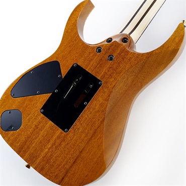 Ibanez j.custom RG8570EM-NT (Natural) [Limited Model] SN.F2507660 画像7
