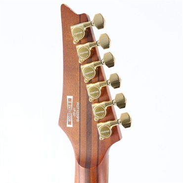 Ibanez USED 中古 Premium RGT1220PB-ABS(Antique Brown Stained Flat)[SN.I241111338]アイバニーズ 画像5