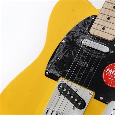 Squier by Fender Squier Sonic Telecaster (Butterscotch Blonde/Maple Fingerboard)  SN.ICSK25015219 【特価】 画像7