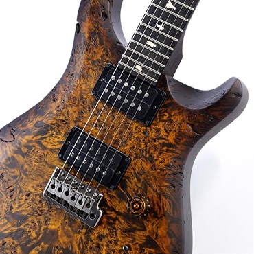 P.R.S. S2 Custom 24  Poplar Burl Limited Edition (Black Gold Burst) SN.S2089082 【2026年生産品】 画像3