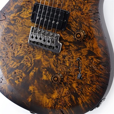 P.R.S. S2 Custom 24  Poplar Burl Limited Edition (Black Gold Burst) SN.S2089082 【2026年生産品】 画像4