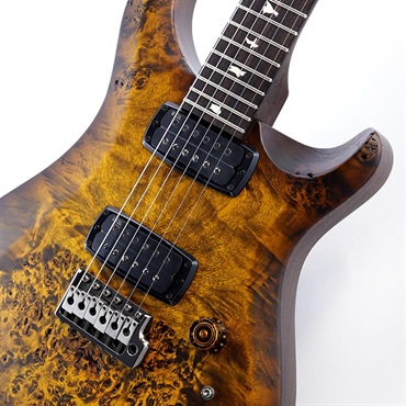 P.R.S. S2 Custom 24-08  Poplar Burl Limited Edition (Black Gold Burst) SN.S2088748 【2026年生産品】 画像3