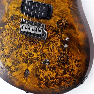 P.R.S. S2 Custom 24-08  Poplar Burl Limited Edition (Black Gold Burst) SN.S2088748 【2026年生産品】 画像4