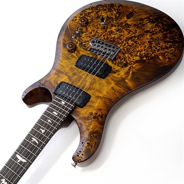 P.R.S. S2 Custom 24-08  Poplar Burl Limited Edition (Black Gold Burst) SN.S2088748 【2026年生産品】 画像5