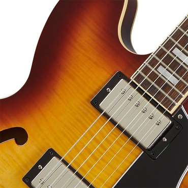 Epiphone ES-335 Figured (Raspberry Tea Burst) 画像2