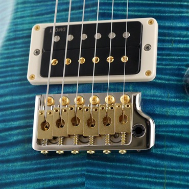 P.R.S. Wood Library Custom 24 10Top Japan Exclusive (Laguna) [SN.0427779] 【2026年生産品】 画像5