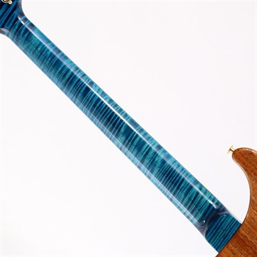 P.R.S. Wood Library Custom 24 10Top Japan Exclusive (Laguna) [SN.0427779] 【2026年生産品】 画像7