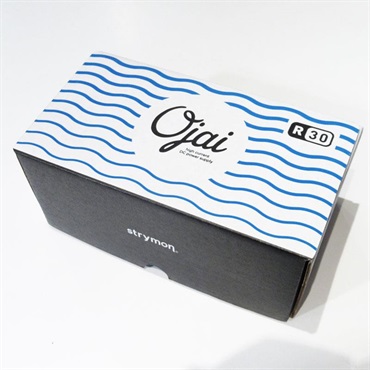 strymon USED 中古 Ojai R30（ストライモン）パワーサプライ 画像4