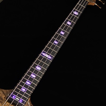 ALEMBIC USED 中古 SCSB4 / Stanley Clark Deluxe (Buckeye Burl Top & 5A Quilted Maple Back) w/Front LEDs Violet '17 画像5