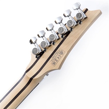 Ibanez j.custom RGR8270-WS (White Moonstone)  SN.F2613343 画像9