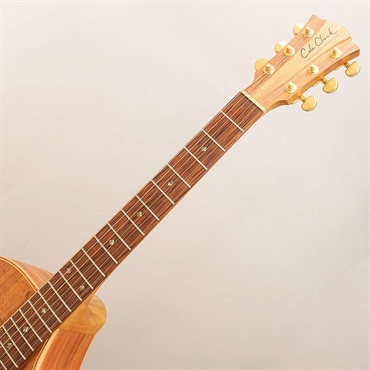 Cole Clark USED 中古 FL2EC-BLBL コールクラーク 画像6