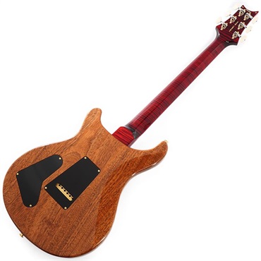 P.R.S. Wood Library McCarty Trem 10Top Japan Exclusive (Red Tiger) SN.0426334 【2026年生産品】 画像2