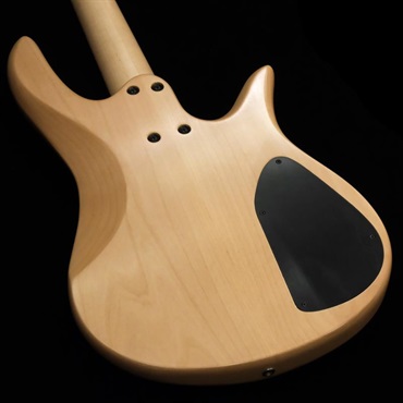 Fodera USED 中古 Monarch 4 Standard Special / Lefty (Ivory Top) '20 画像7