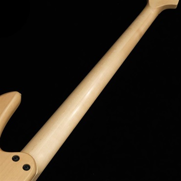 Fodera USED 中古 Monarch 4 Standard Special / Lefty (Ivory Top) '20 画像8