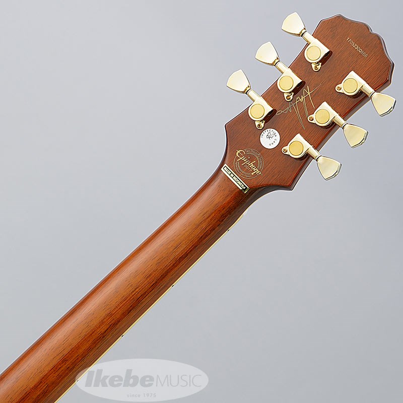 買取実績】Epiphone Limited Edition Lee Malia RD Custom Artisan