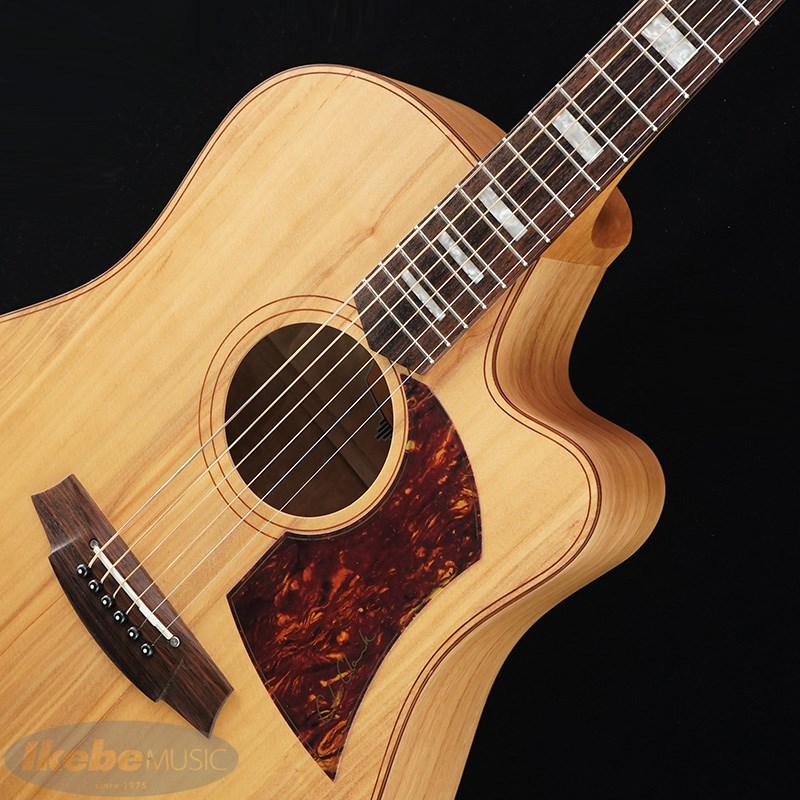 本体のみの為格安出品cole clark FL2AC COLE CLARK FL2AC|ドルフィンギターズ