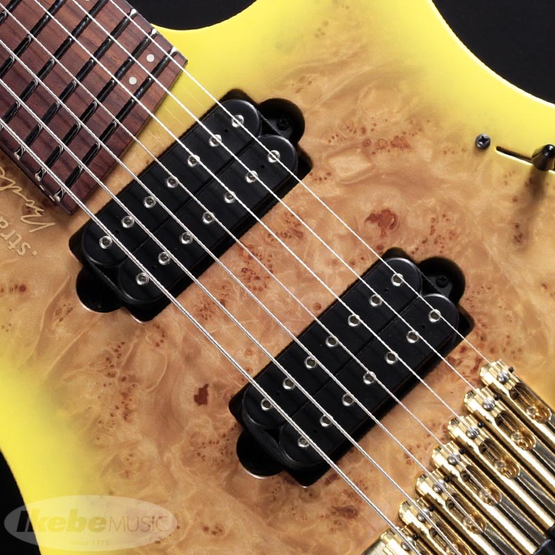買取実績】Strandberg Boden J7 Custom Burl Maple (Natural Yellow
