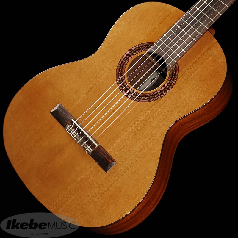 Beating C5 カホン 最高級の重低音カホン！Beating「C5」｜島村楽器