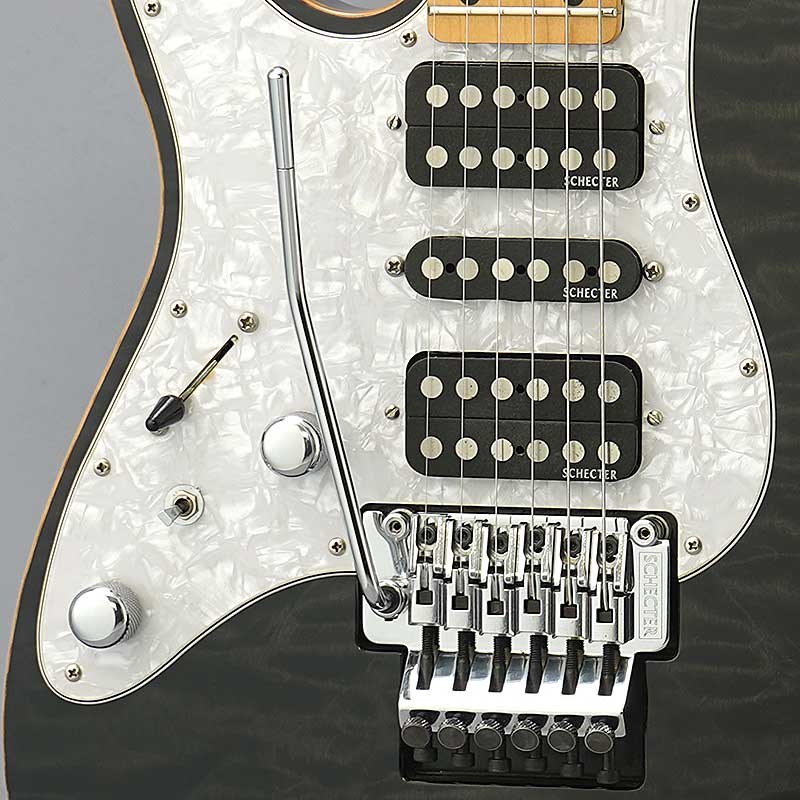 SCHECTER SD-2-24 BW Mod EMGピックアップ換装 SCHECTER SD-2-24 BW Mod EMGピックアップ換装