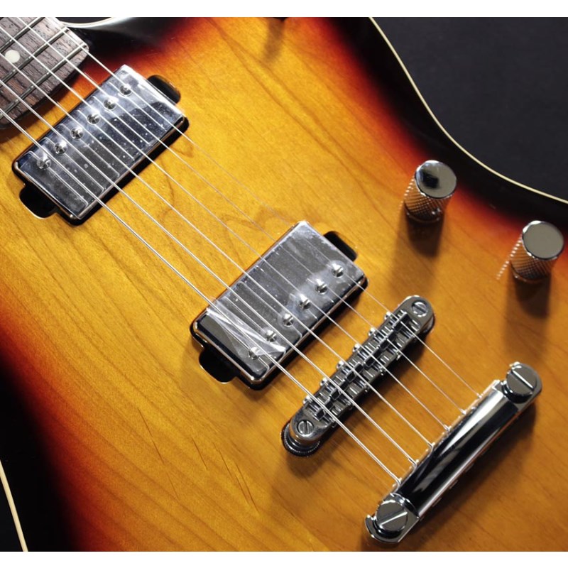 Warmoth × カルロス工房製 Jag-Stang カスタム Warmoth × カルロス工房製 Jag-Stang カスタム - メルカリ