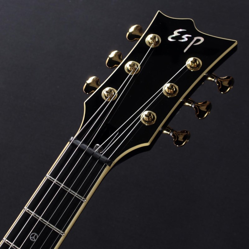 G-レオン -HIROKAZ Signature Model ESPカスタム