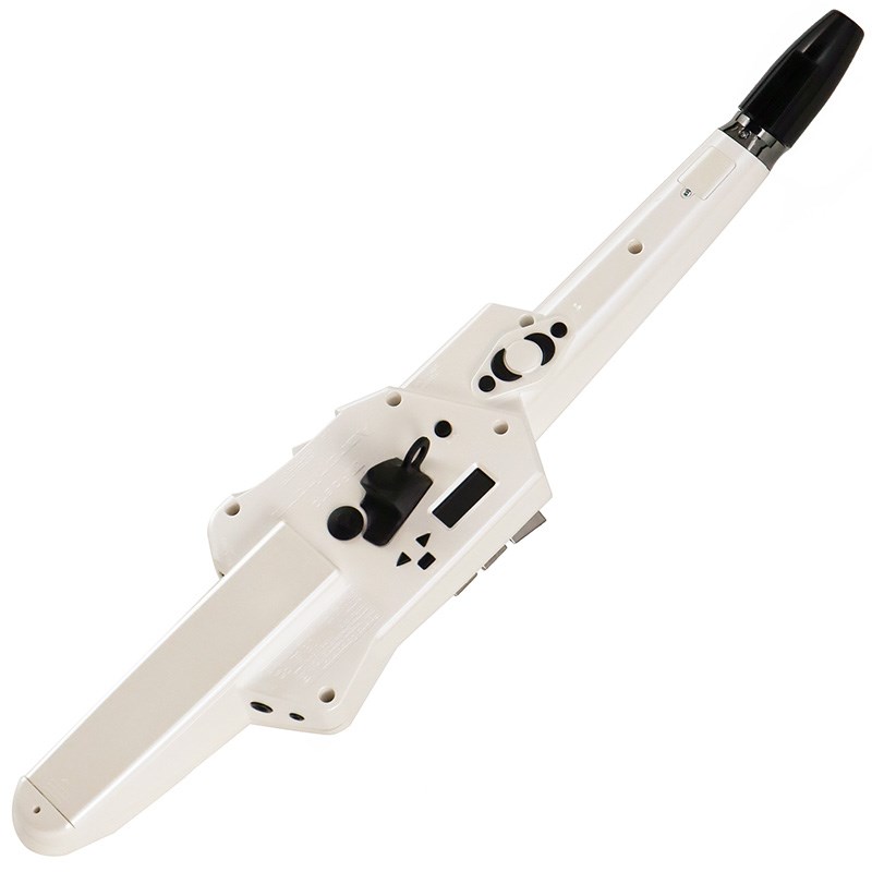買取実績】Roland Aerophone AE-10 | 楽器の買取ならイケベリユース