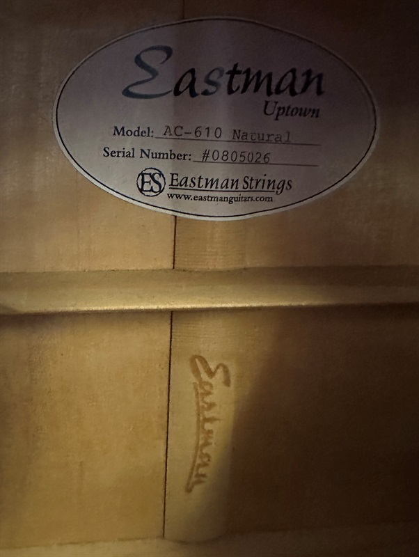 買取実績】EASTMAN AC-610 | 楽器の買取ならイケベリユース