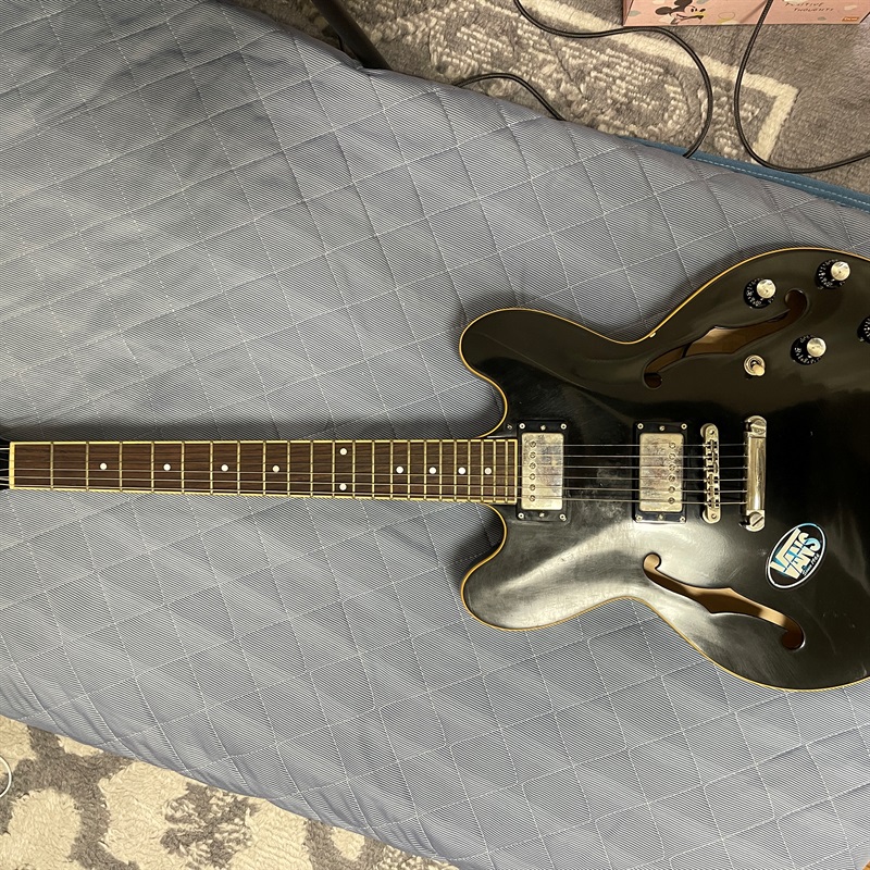 買取実績】Edwards EDWARDS E-SA-160LTS | 楽器の買取ならイケベリユース
