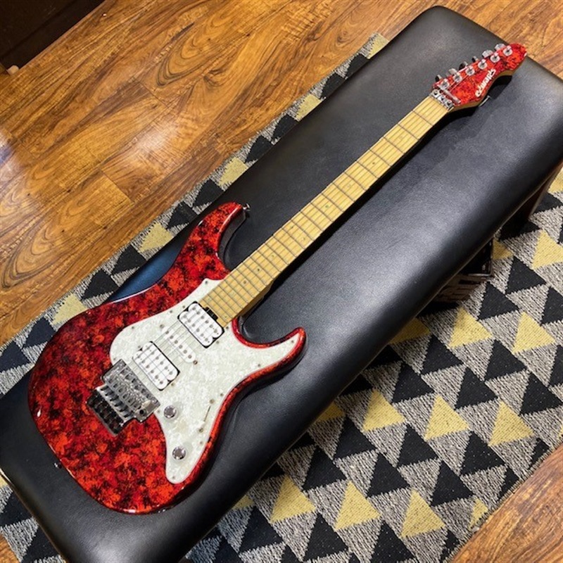 EDWARDS E-SN-150FR 定価157，500円