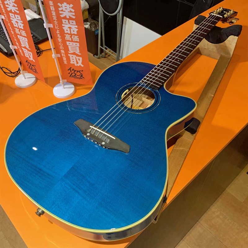 USA製】Fender USA Select Newporter 【美品】（買取実績一覧