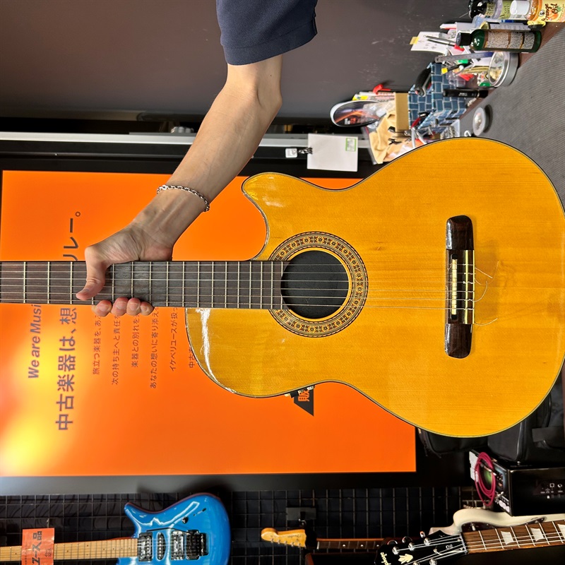 レインソング rainsong 付い DR-1000 アコースティックギター
