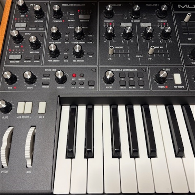 買取実績】moog muse | 楽器の買取ならイケベリユース