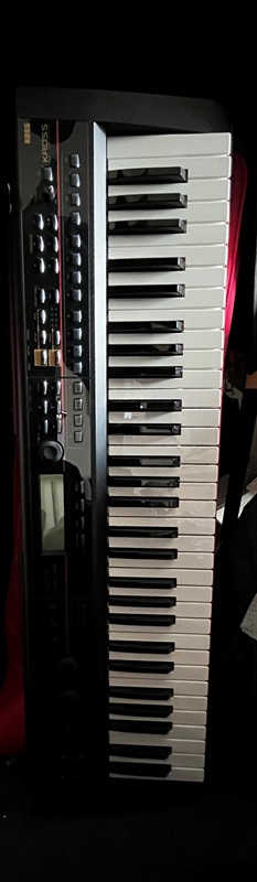 買取実績】電子ピアノ・その他鍵盤楽器 | 楽器の買取ならイケベリユース