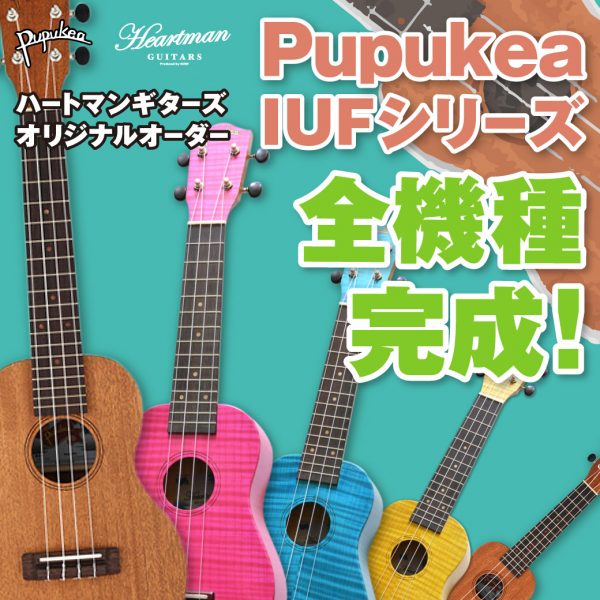 【更新！】ハートマンギターズオリジナルオーダーIUFシリーズ Pupukea