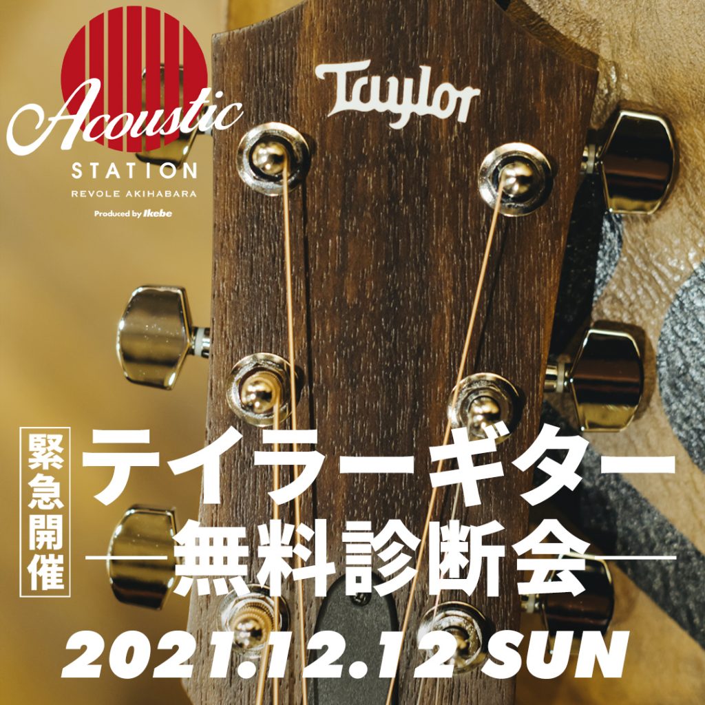 Taylor Guitar 無料診断会