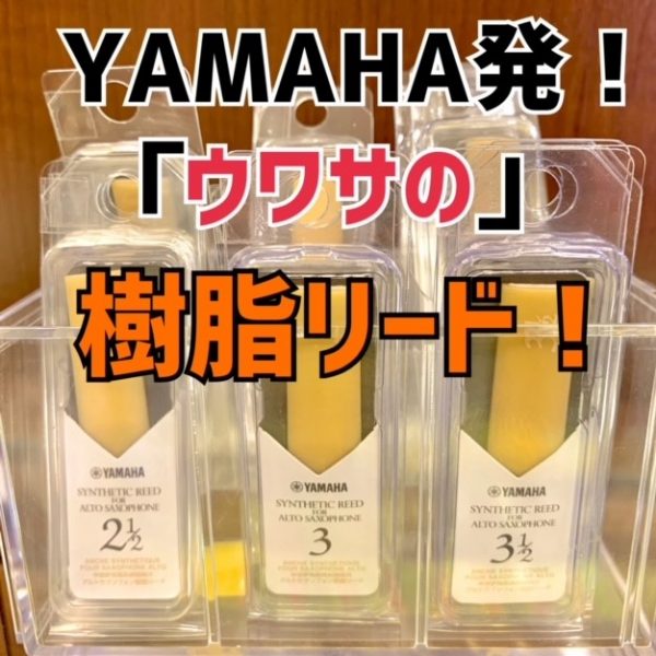 樹脂リード未経験者必見！WBスタッフおすすめ「シンセティックリード」