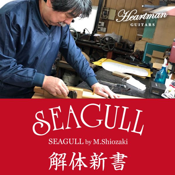 SEAGULL by M.Shiozaki 解体新書