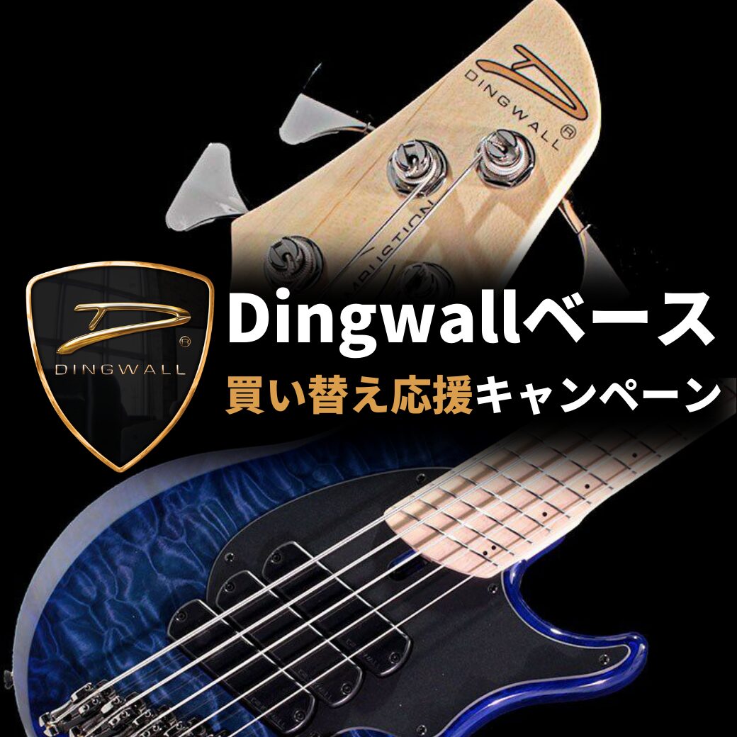 Dingwall買い替え応援キャンペーン！